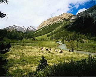 《怪形：重制版》一项体验优化 NPC不再强制感染