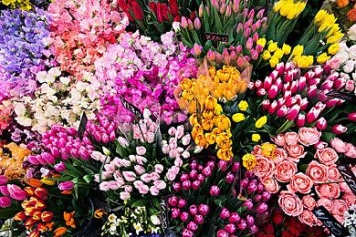 2K太抠门？Switch《乐高2K竞速》实体版竟没游戏卡